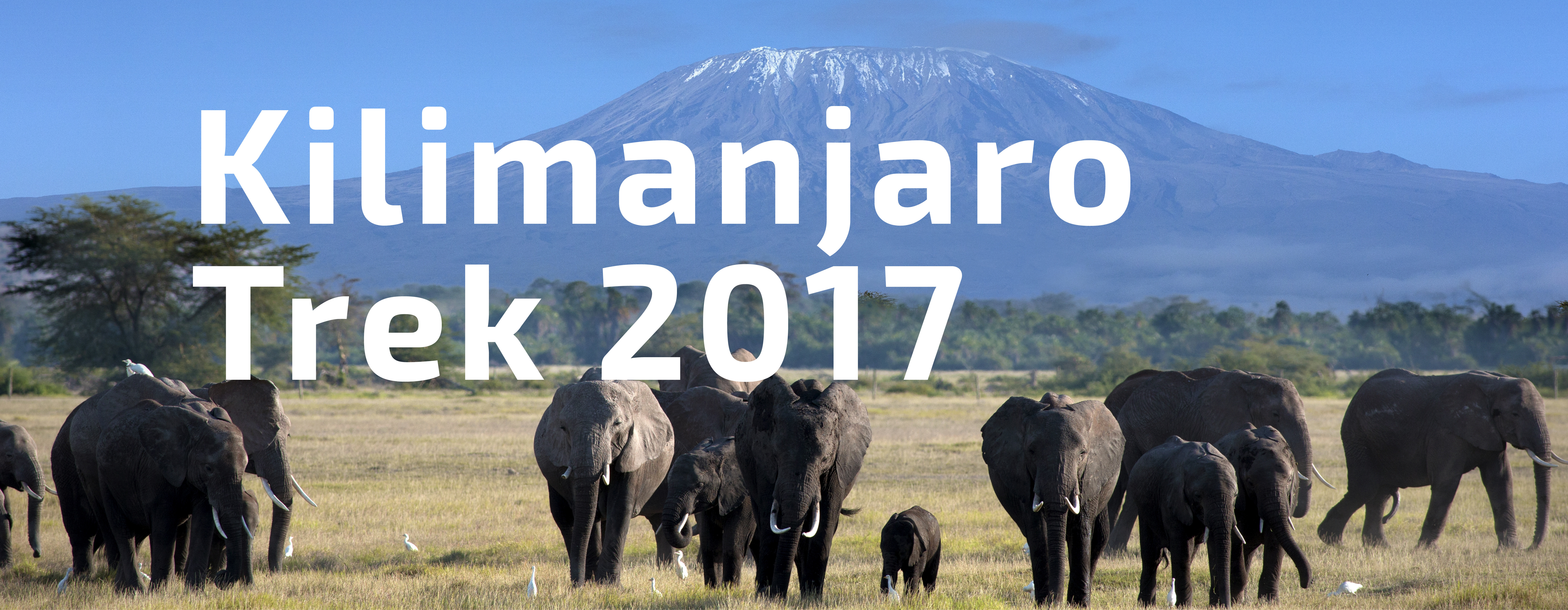 Kilimanjaro Trek – 30th September 2017