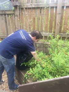 gardening